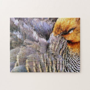 PUZZLE CANARDS