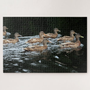 Puzzle Canards