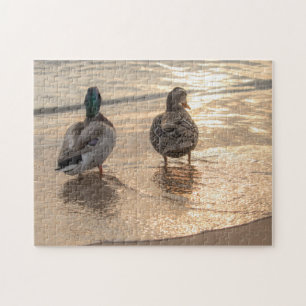 Puzzle Canards au coucher du soleil