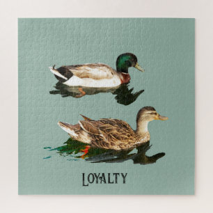 Puzzle Canards colverts