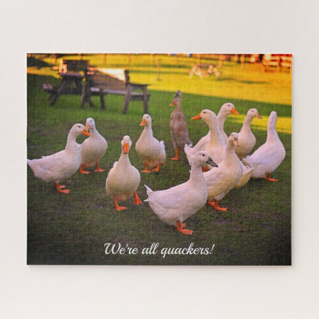 Puzzle Canards dans le parc Funny Quackers vacances (Horizontal)