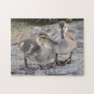 Puzzle Canards de bébé