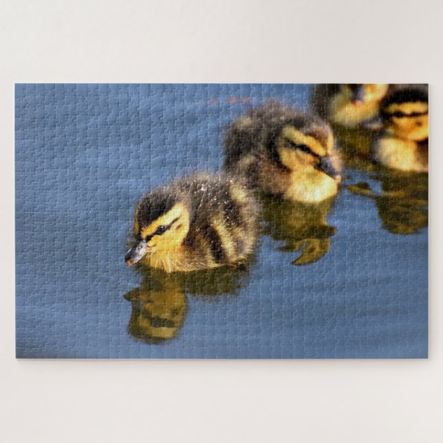 Puzzle Canards mignons à nager (Horizontal)