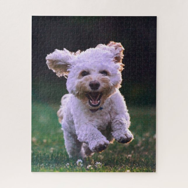 Puzzle Caniche blanc courant Chien mignon (Vertical)