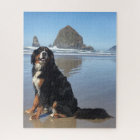 Cannon Beach bernois Mountain Dog