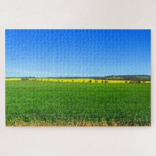 Puzzle canola