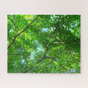Puzzle Canopée verte, Branches feuillues avec ciel bleu
