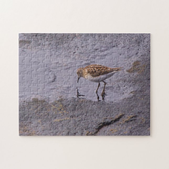 Puzzle Cape Neddick Moins Sandpiper (Horizontal)