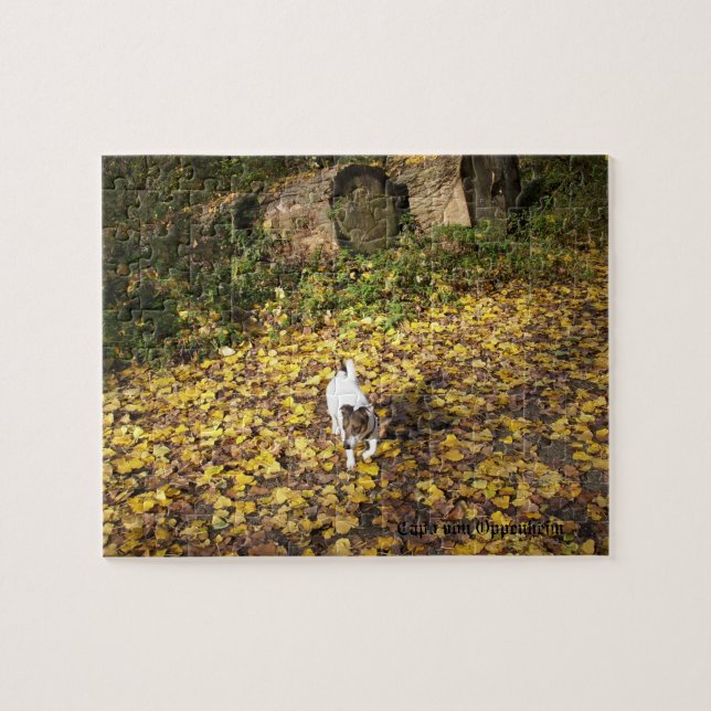 Puzzle Capo von Oppenheim, Jack Russell Terrier Chien (Horizontal)