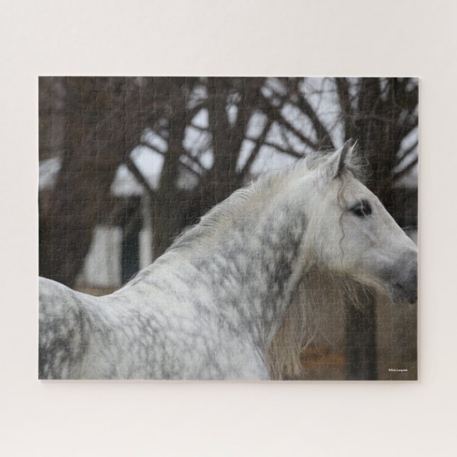 Puzzle Capture d'écran Dappy Grey Andalucien Stallion (Horizontal)