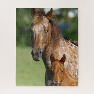 Puzzle Capture d'écran de l'Appaloosa Horse Mare et Foie