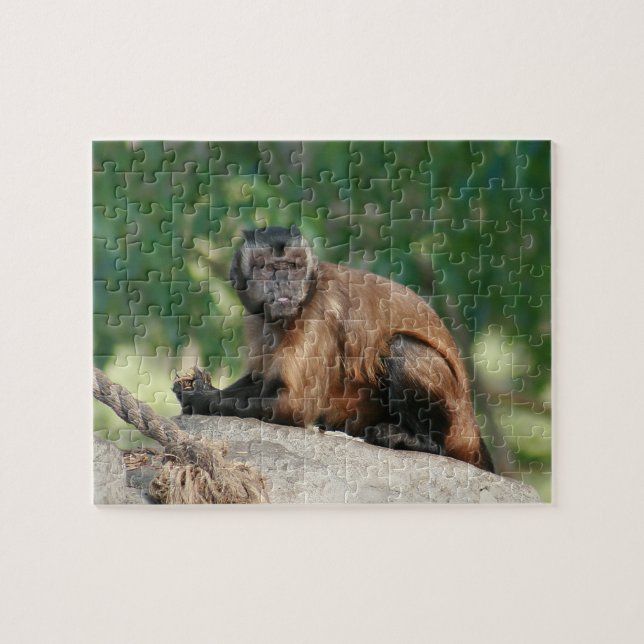 Puzzle Capuchin Singe Mignonne Mais Cranky (Horizontal)