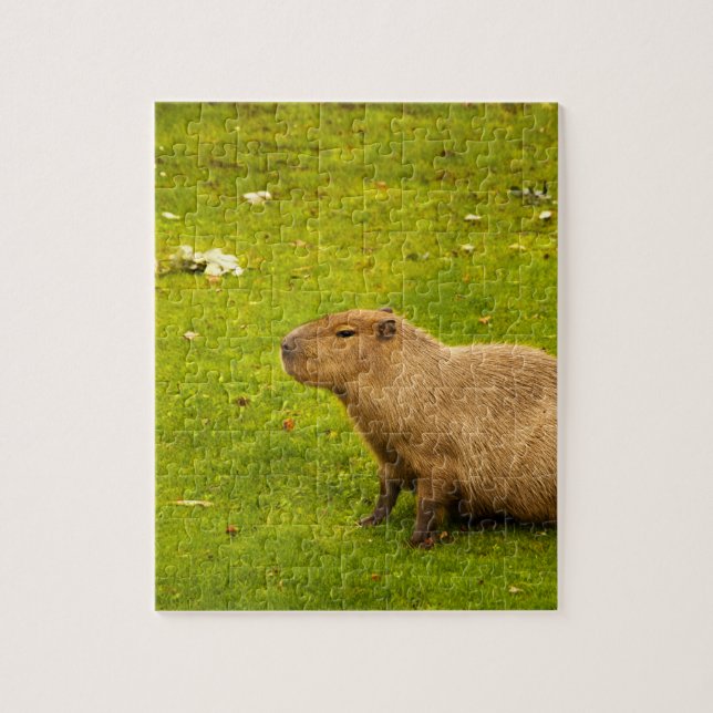 Puzzle Capybara (Vertical)