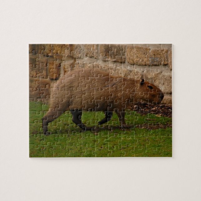 Puzzle capybara (Horizontal)