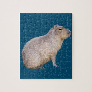Puzzle Capybara