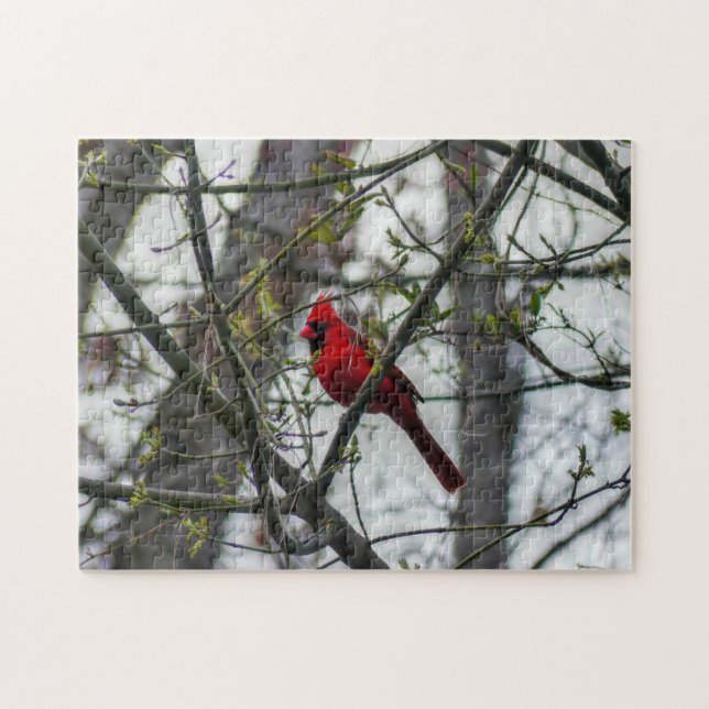 Puzzle Cardinal (Horizontal)