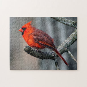 Puzzle cardinal
