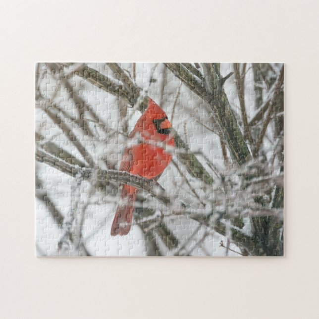 Puzzle Cardinal (Horizontal)