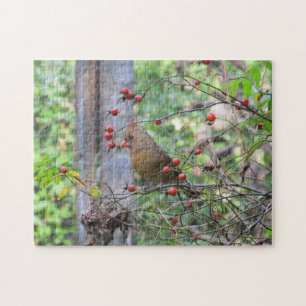 Puzzle Cardinal à Bird Feeder entouré de Red Berries