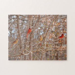 Puzzle Cardinal Bird Couples Automne Saison Arbre Nature