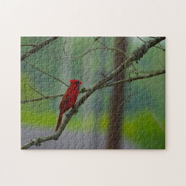 Puzzle Cardinal Birds. (Horizontal)