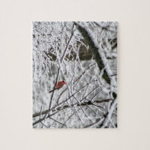 Cardinal dans les arbres neigeux