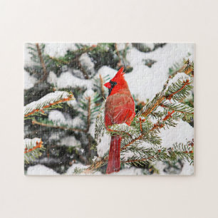 Puzzle Cardinal dans un pin