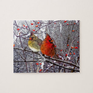 Puzzle cardinal de forêt