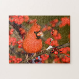 Puzzle Cardinal de Northern