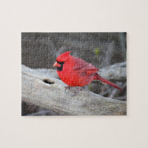 Puzzle Cardinal de Woods