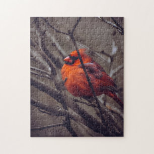 Puzzle Cardinal d'hiver