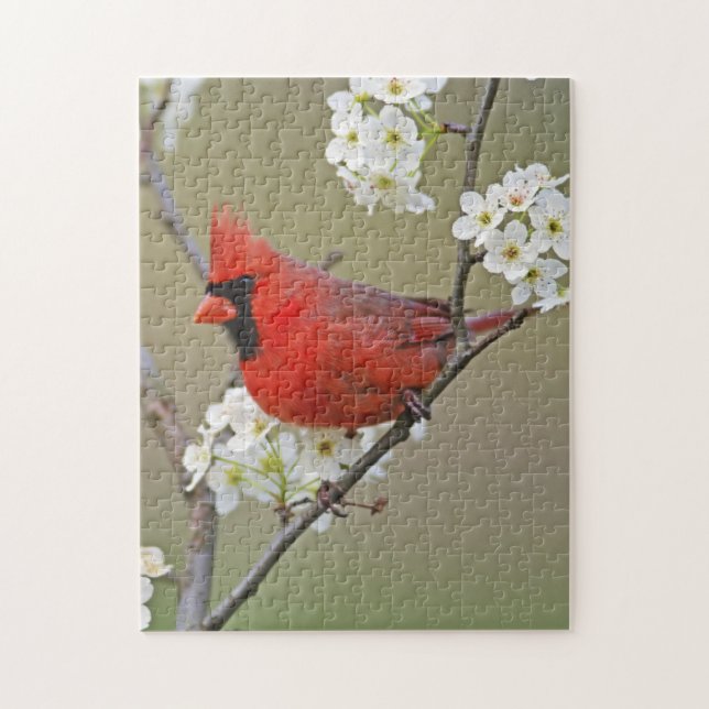 Puzzle Cardinal du Nord (Vertical)