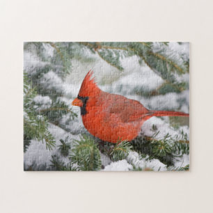 Puzzle Cardinal du Nord dans un sapin baumier en hiver
