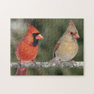 Puzzle cardinal du nord de photographie