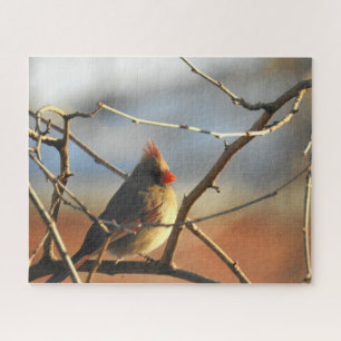 Puzzle Cardinal féminin perché