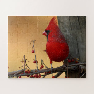 Puzzle Cardinal Oiseau Rouge Grandes Pièces Cadeau Grand-