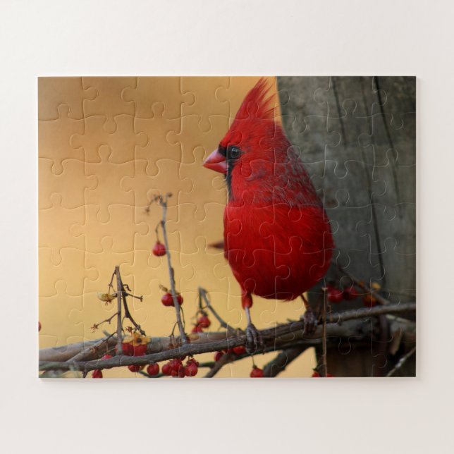 Puzzle Cardinal Oiseau Rouge Grandes Pièces Cadeau Grand- (Horizontal)