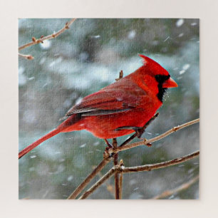 Puzzle Cardinal rouge dans la neige