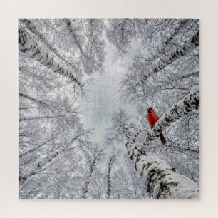 Puzzle Cardinal rouge dans une forêt de bouleaux blancs h