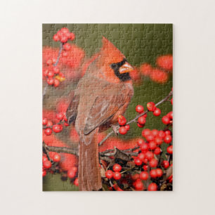 Puzzle Cardinal rouge sur un Houx verticillé