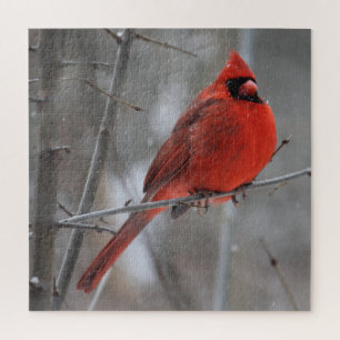 Puzzle Cardinal roux brillant en neige hivernale