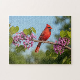 Puzzle Cardinal sur une branche de Redbud