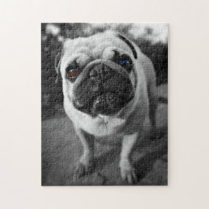 Puzzle Carlin beau