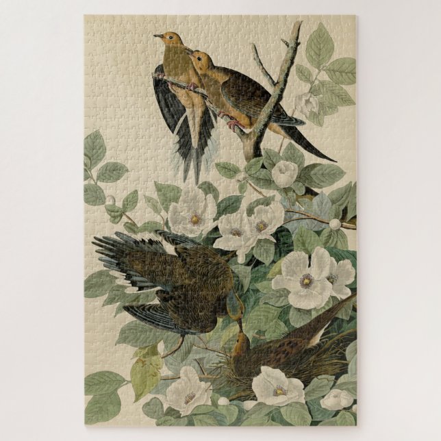 Puzzle Carolina Turtle Dove Mourning Dove Audubon's Birds (Vertical)