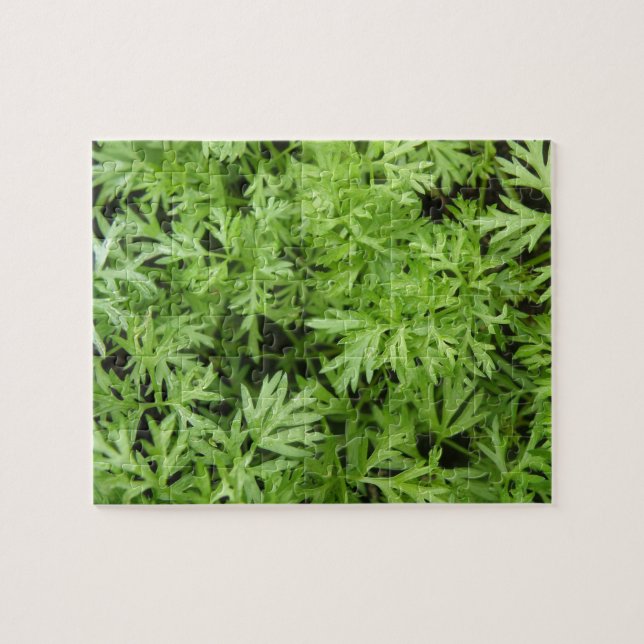 Puzzle Carrot Tops (Horizontal)