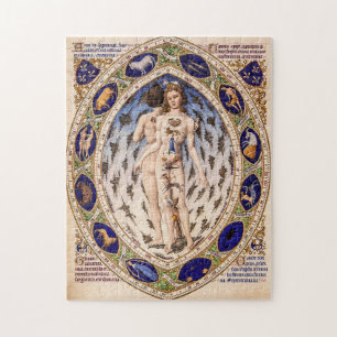 Puzzle Carte céleste de l'homme du zodiaque anatomique vi