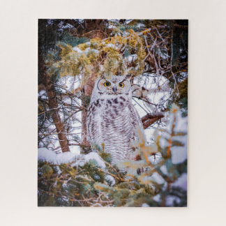 Puzzle Carte Chouette