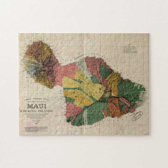 Puzzle Carte vintage de Maui Hawaii (1885) (Horizontal)
