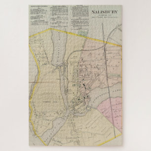 Puzzle Carte vintage de Salisbury MD (1877)