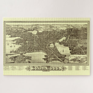 Puzzle Carte vintage Pictorial Salem MA (1883)